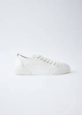 Low Top Logo Sneakers by AMI PARIS