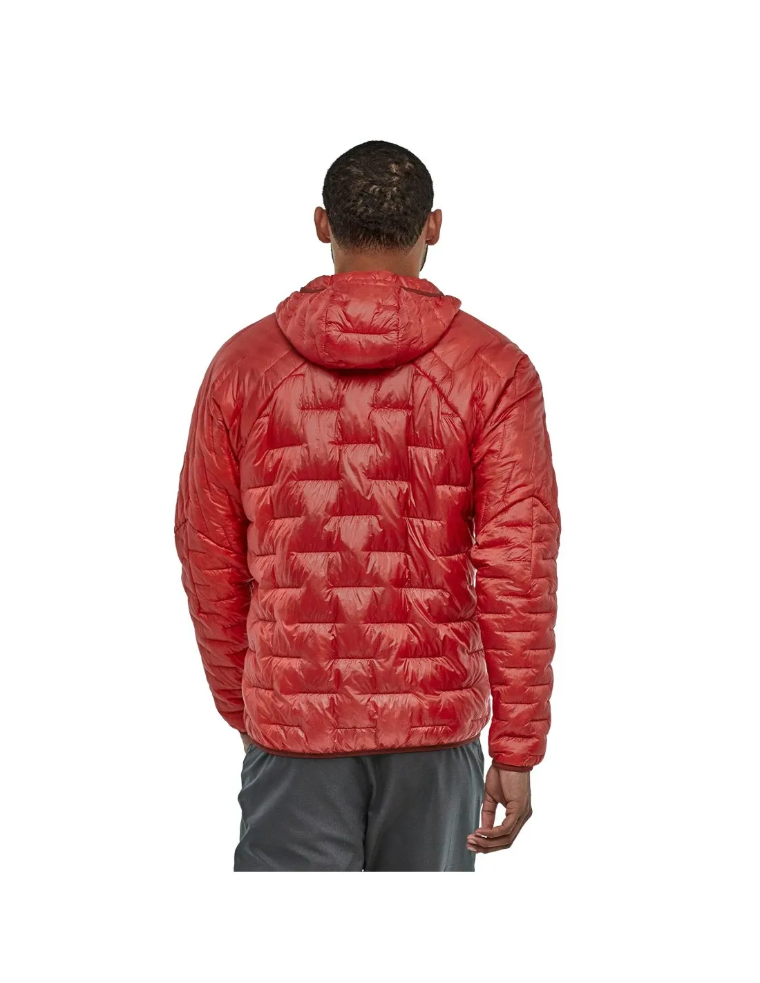 Patagonia Micro Puff Hoody