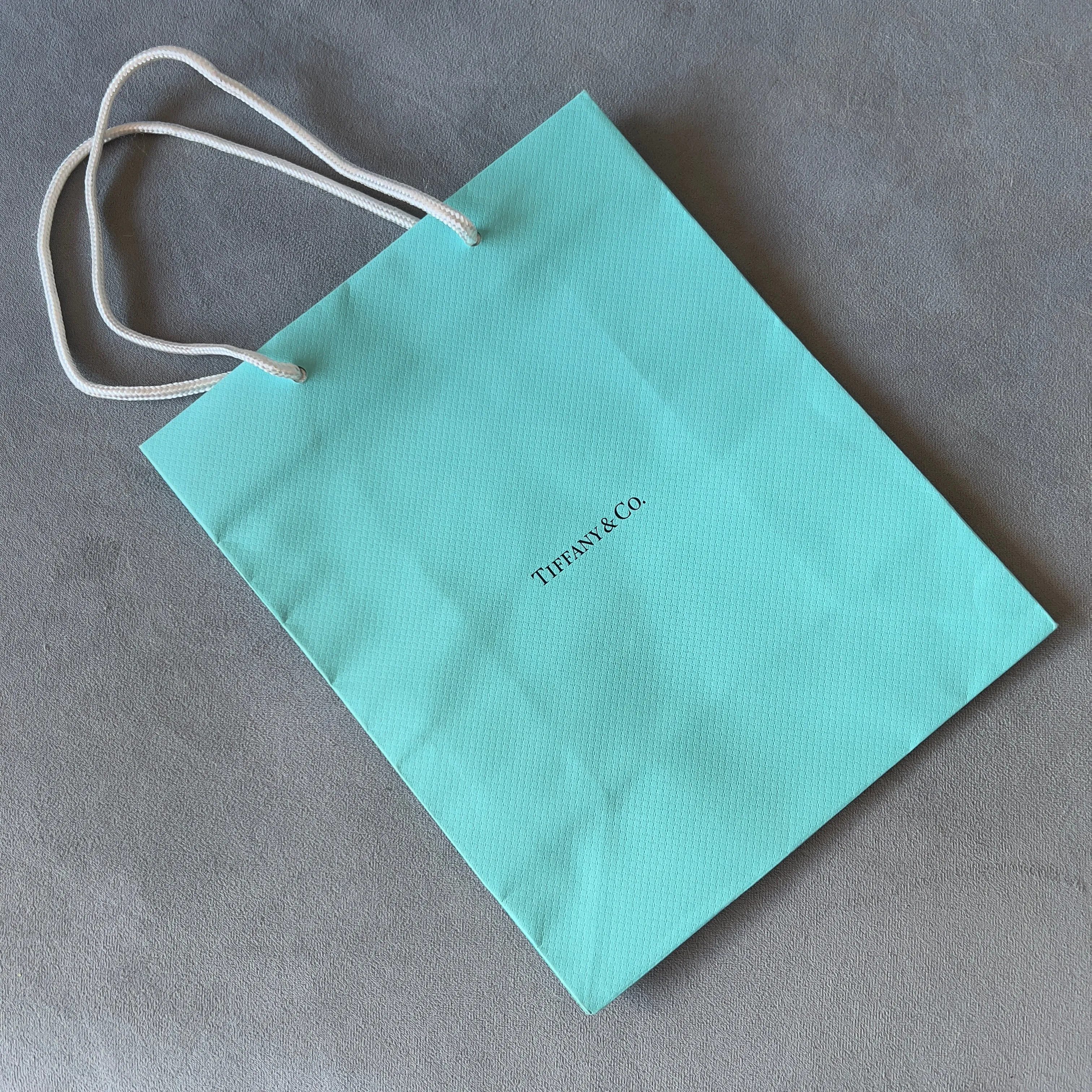 Tiffany & Co. Gift Bag Shopping - Authentic Luxury Items